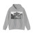 PIRANESI, Giovanni Battista - The Trevi Fountain in Rome (Artwork) Hoodie