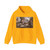 RAFFAELLO Sanzio - Jacob's Encounter with Rachel (Artwork) Hoodie