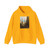 ROBERTS, David - A View in Cairo (Artwork) Hoodie