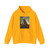DOLCI, Carlo - Portrait of Ainolfo de' Bardi (Artwork) Hoodie