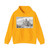 DECKER, Coenraet - DECKER, Coenraet - View of the Stadhuis (Town Hall) of Delft (Artwork) Hoodie