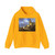 GRANET, Francois-Marius - S. Trinita dei Monti and the Villa Medici, Rome (Artwork) Hoodie