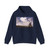 RUYSDAEL, Salomon van - Sailboats on the Wijkermeer (Artwork) Hoodie