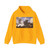 RUYSDAEL, Salomon van - Halt at an Inn (Artwork) Hoodie
