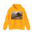 MOLYN, Pieter de - Dunes (Artwork) Hoodie