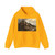 RUBENS, Peter Paul - Landscape with the Ruins of Mount Palatine in Rome (Artwork) Hoodie