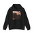 CRANACH, Lucas the Elder - The Fountain of Youth (detail)7 (Artwork) Hoodie