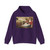 CUYP, Jacob Gerritsz - The Shepherdess (Artwork) Hoodie