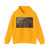 MAGNASCO, Alessandro - Bacchanalian Scene (Artwork) Hoodie