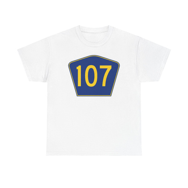 PR secondary 107 (Puerto Rico) (Road Sign) T-Shirt