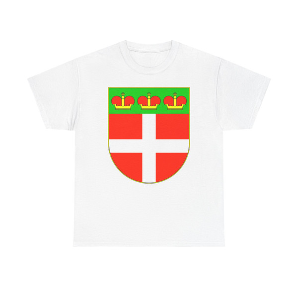 Coat of Arms of Iziaslav raion (Ukraine) (Coat of Arms) T-Shirt