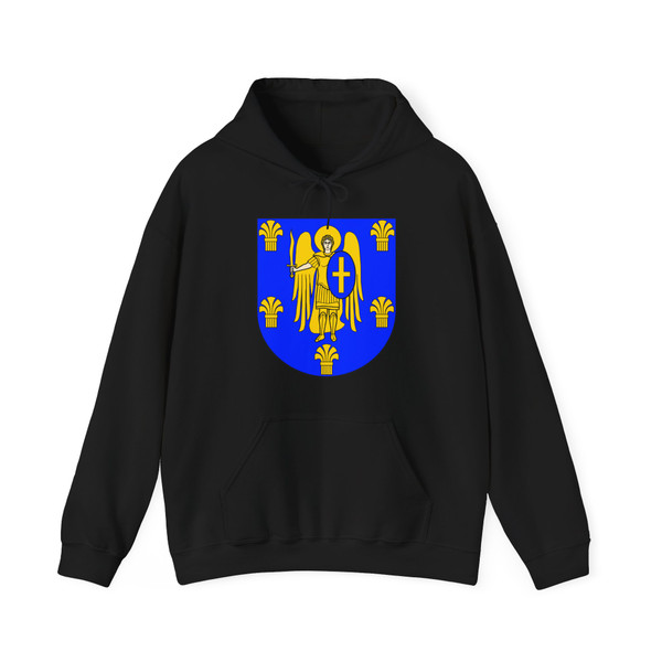 UKR Myronivka Raion COA (Ukraine) (Coat of Arms) Hoodie