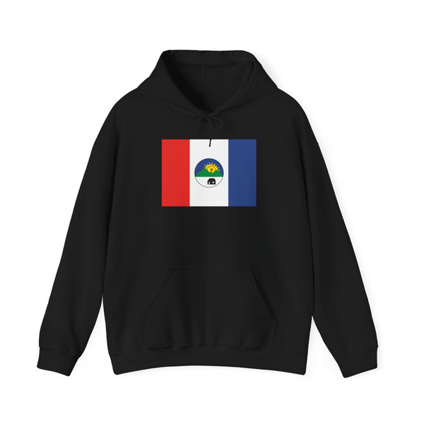 BandeiraCasinhasPE (Brazil) Hoodie