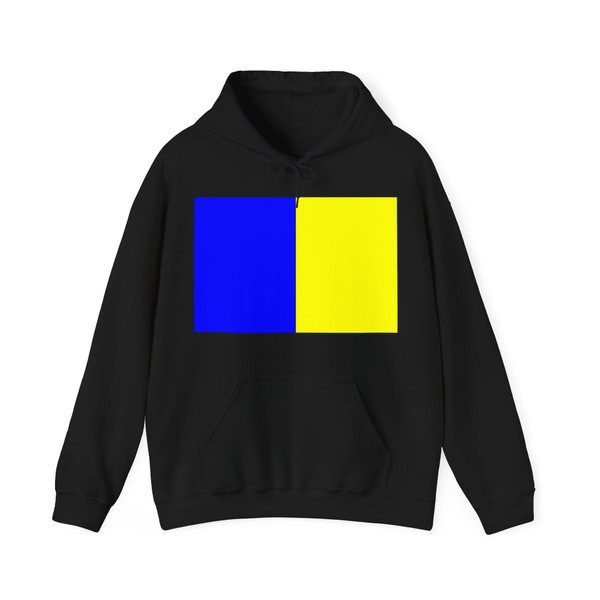 Flag of Annemasse (France) Hoodie