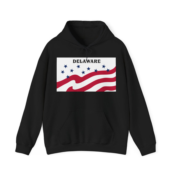 Flag of Delaware County Iowa Sesquicentennial (United States) Hoodie