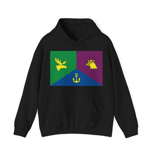 Flag of East district in Moscow (Russia) Hoodie