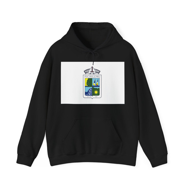 Flag of Pichilemu (Chile) Hoodie