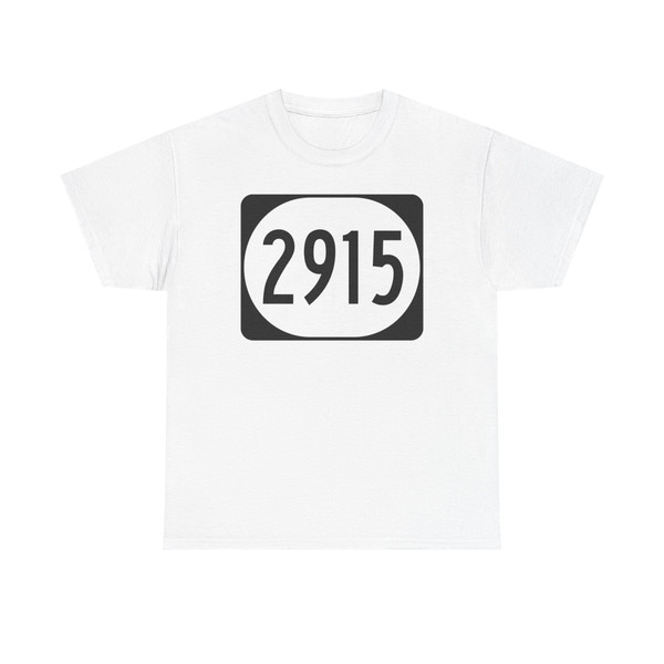 Elongated circle 2915 (United States) (Road Sign) T-Shirt