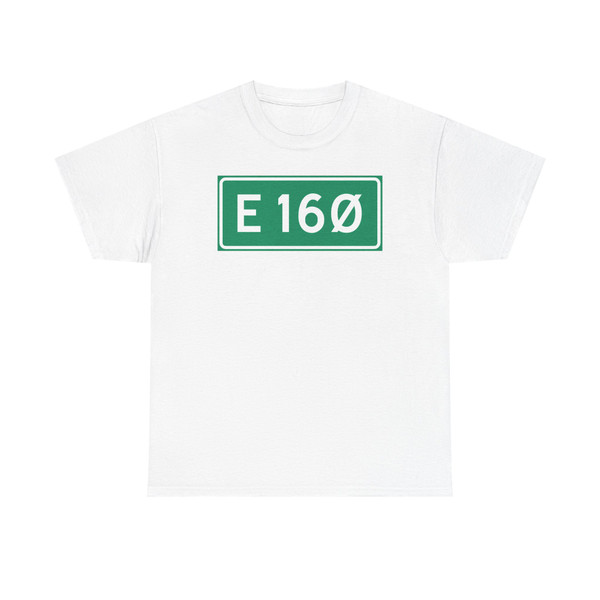 Riksvei E 16 Ø (Norway) (Road Sign) T-Shirt