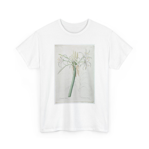 De Gouy, French, active 18th century - Crinum taitens - 18th century - T-Shirt