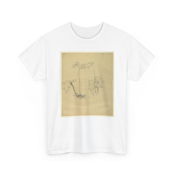 Sophia L. Crownfield, (American, - Study of Begonia - early 20th century v2 - T-Shirt