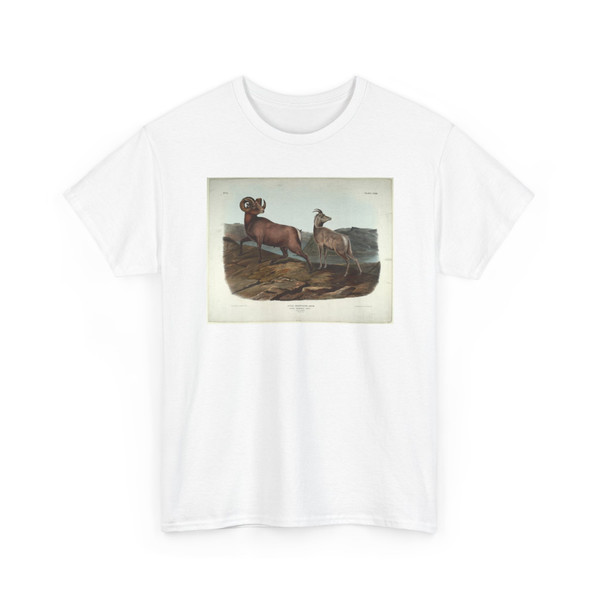Bowen, John T. - Ovis Montana, Desm - 1845 - T-Shirt