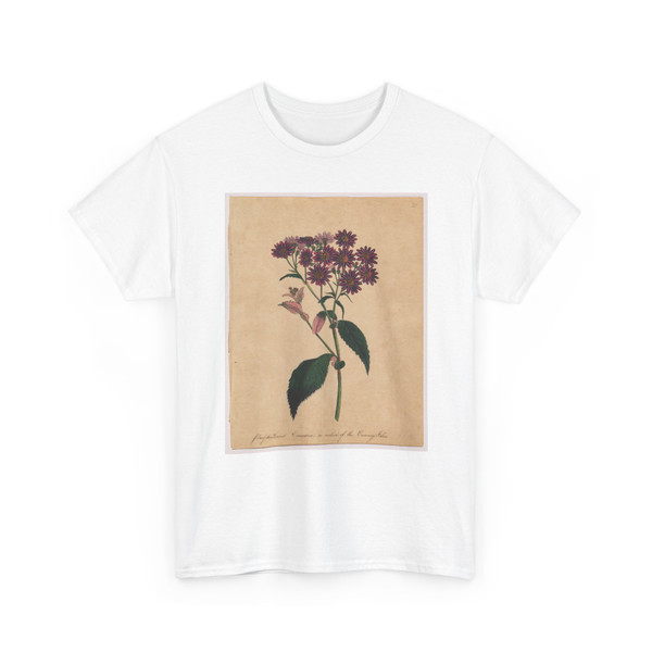 Frances Jauncey Ketchum, born New York - Purple-leaved Cineraria, A Native of the Canary Isles - not dated - T-Shirt