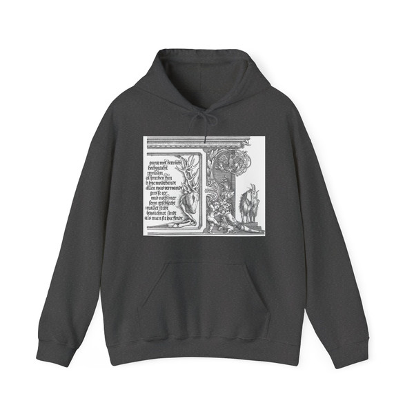DURER, Albrecht - Triumphal Arch (detail)6 (Artwork) Hoodie