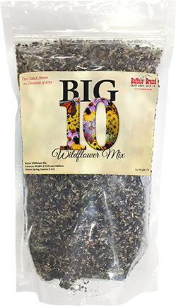 Big 10 Wildflower Mix