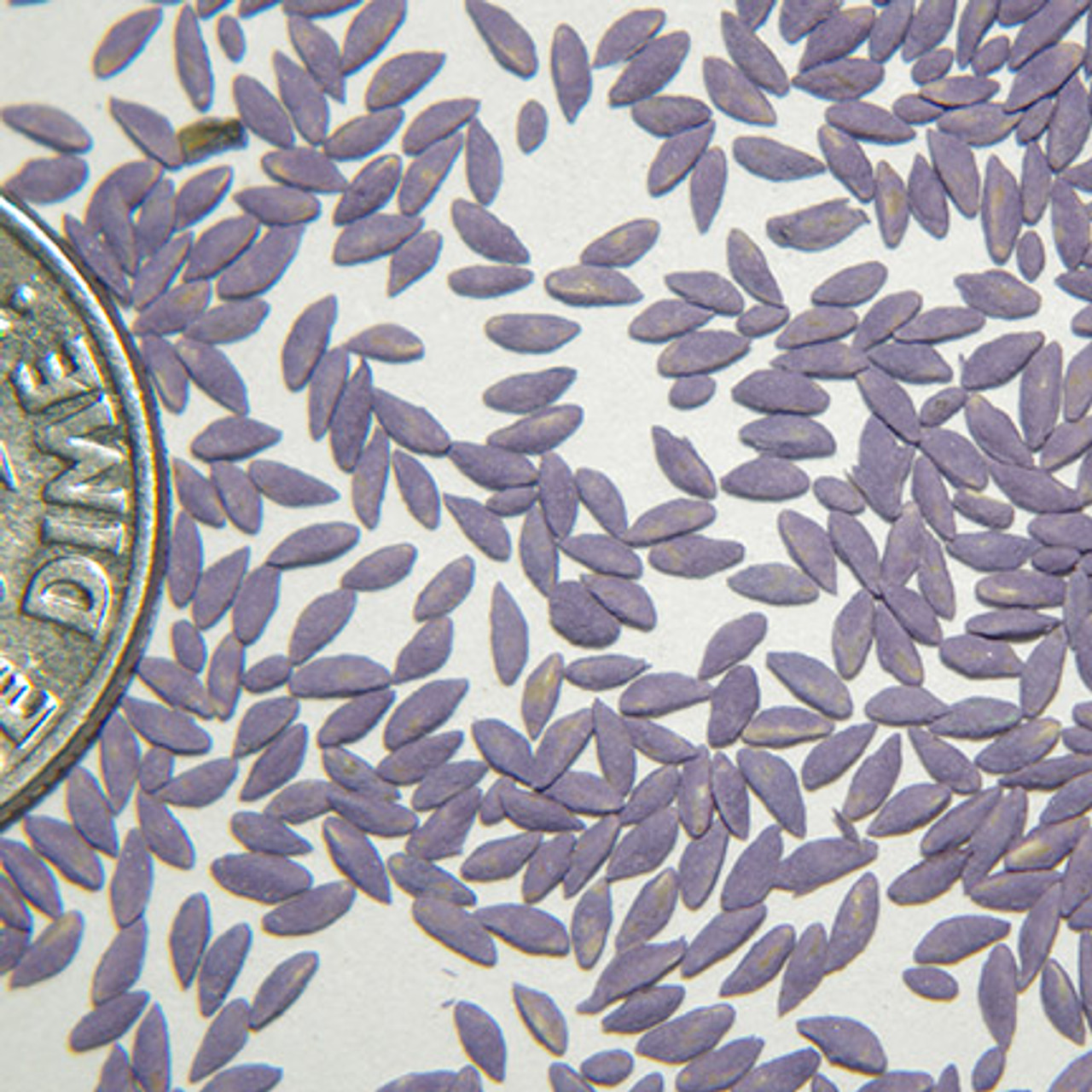Triple Your Bermuda Grass Growth With This Simple Trick - odkg291