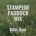 Stampede Paddock Mix