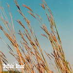 Big Bluestem