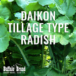 Daikon Tillage Type Radish