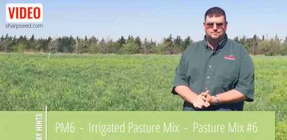 PM6 | Sharp Bros. Seed Co.'s Irrigated Pasture Mix