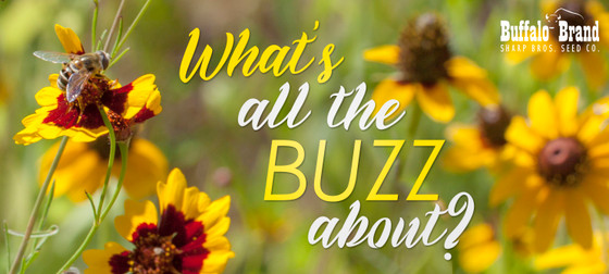 Attract Pollinators with Local Wildflowers