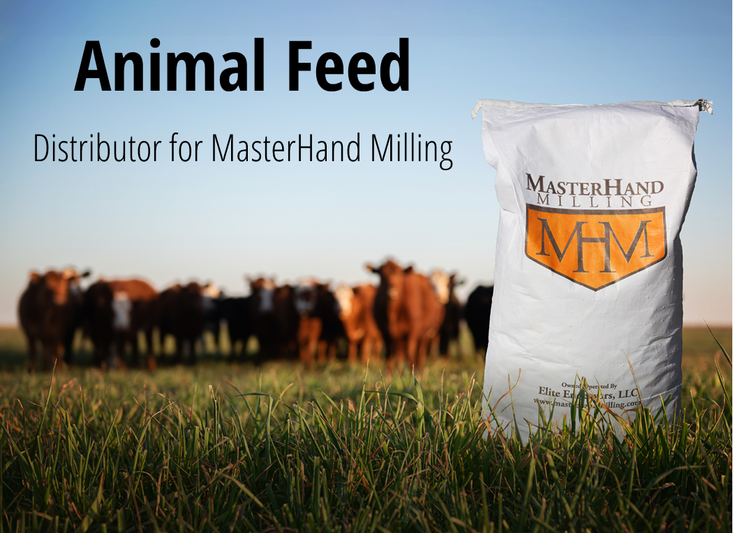 Animal Nutrition