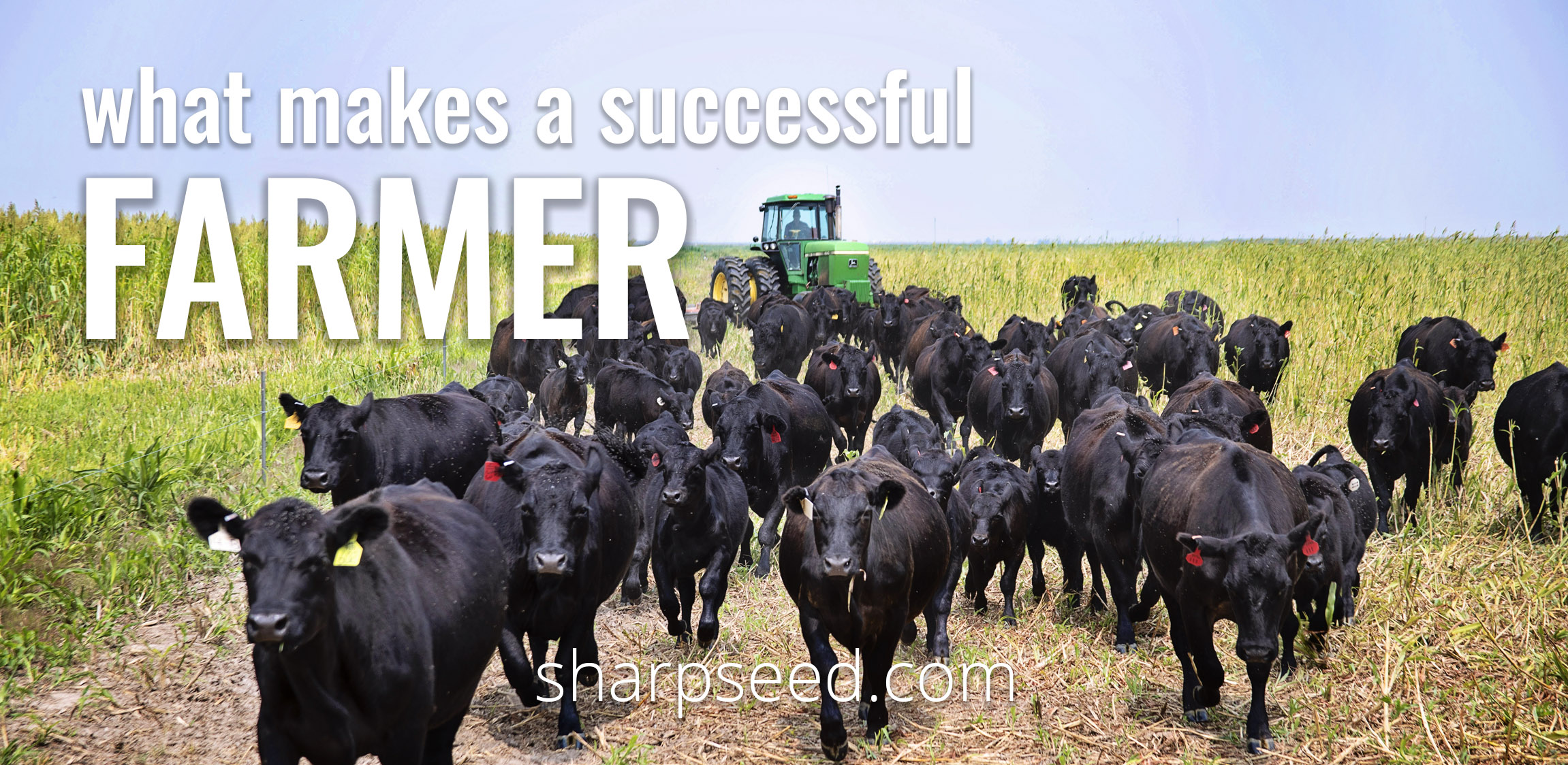 What makes a successful farmer? 