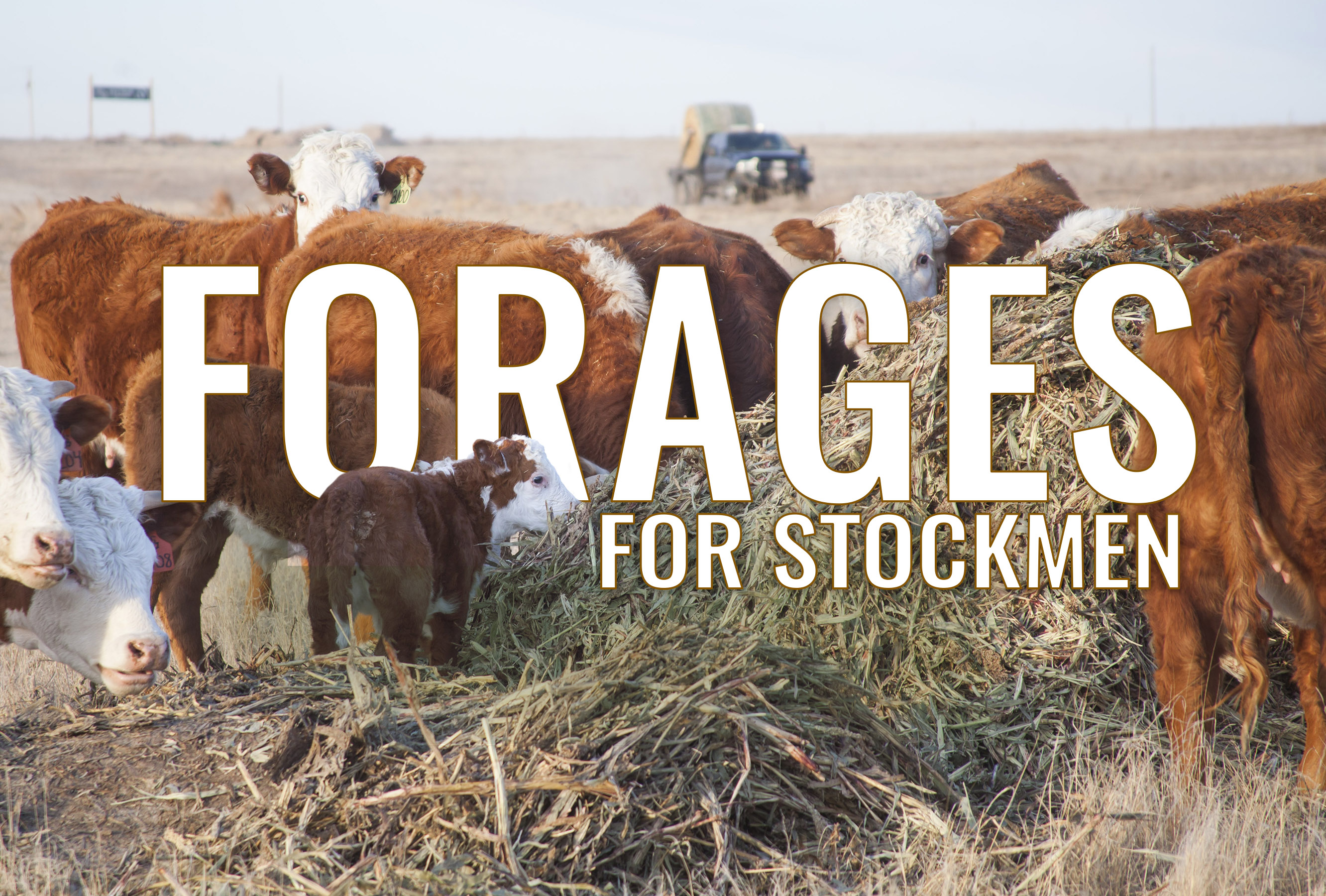 Sharp Bros. Seed Co. 2018 Forage Brochure