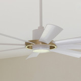 Ceiling Fans Save the Day (and night)