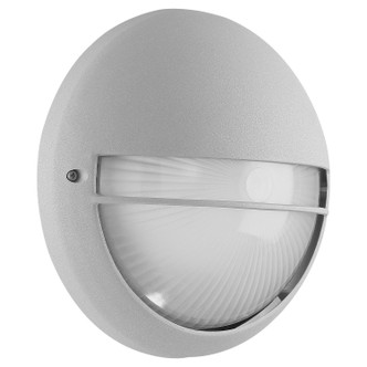 Clifton LED Bulkhead (20260LEDDMG-SAT/OPL)