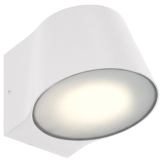 Ry LED Outdoor Wall Mount (20390LEDDMG-WH/FST)