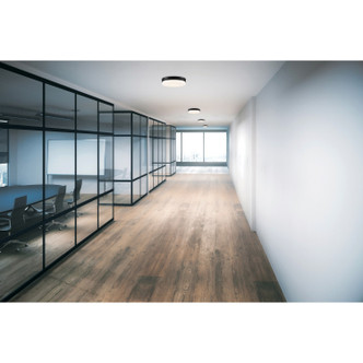 Roma LED Flush Mount (20826LEDD-MBL/OPL)