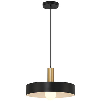 Access - 23798-BWA - One Light Pendant - Slate - Black w/Antique Brushed Brass