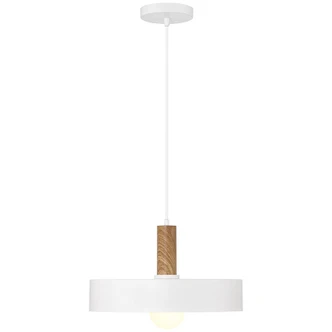Slate One Light Pendant (23798-WH/WGN)