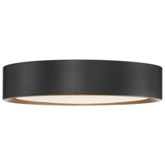 Malaga LED Flush Mount (49970LEDD-MBL/ACR)