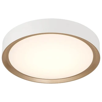 Malaga Color Selectable LED Flush Mount (49972LEDDCS-MWH/ACR)