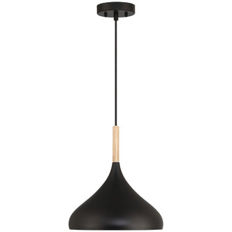 Olivia One Light Pendant (52086-BL/WGN)