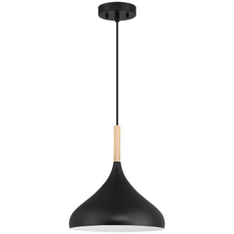Olivia One Light Pendant (52086-BL/WGN)