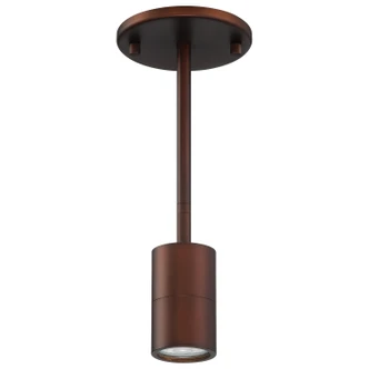 Cafe Dual Mount LED Wall Or Ceiling SpotLight (72010LEDDLP-BRZ)