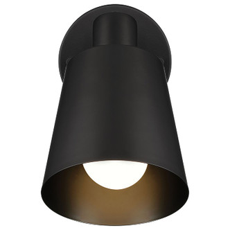 Dalton One Light Wall Sconce (72020-BWA)